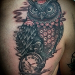 owl-and-clock