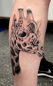 Black and gray Giraffe tattoo on the side of leg, head only and realistic, done at Art In Motion Tattoos.