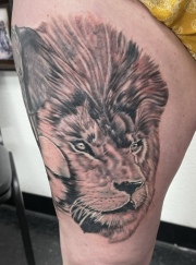 Male lion on front part of the thigh, black and gray tattoo done at Art In Motion Tattoos.