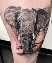 Elephant on thigh done in black and gray, at art in motion tattoos.