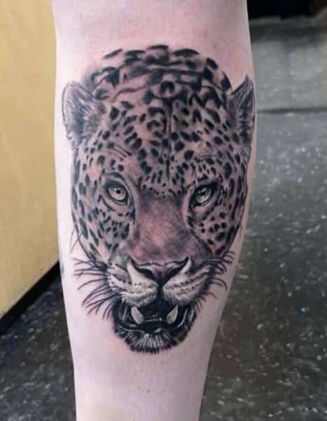 Kitty cat on calf.