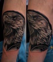 eagle