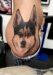 Husky portrait  tattoo done on hip at Art In Motion Tattoos.