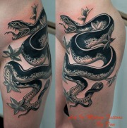 snake1