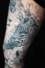 Black and grey zebra tattoo sleeve on forearm by Don at Art In Motion Tattoos, Colorado Springs.