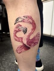 Pink flamingos on leg