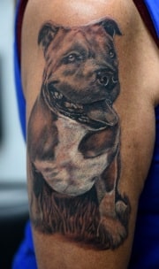 Pitbull-Tattoo