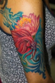 betta_sleeve