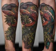 Iguana tattoo on forearm, lots of colors in a realistic style, art in motion tattoo shop.