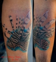 lionfish1