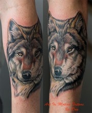 wolf1