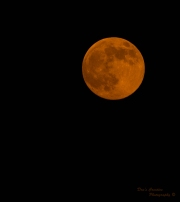 harvestmoon