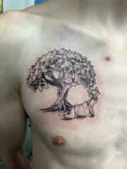 Origomi-tree-and-fox-on-chest