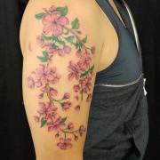 Cherry-blossom-branch