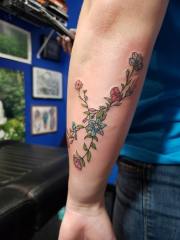 Wildflowers-in-shape-of-constellation