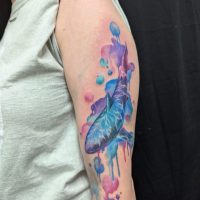 watercolor shark tattoo