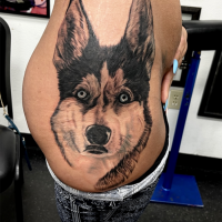 huskytattoo