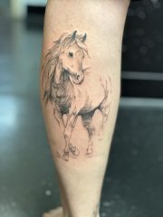sketched-horse-fine-line-tattoo-colorado-springs.jpg-scaled