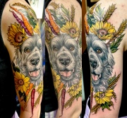 Dog portrait tattoo surrounded by sunflowers, carrots, and wheat in an illustrative realism style by Shelly.