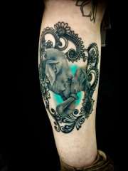 my-elephants