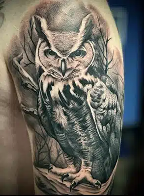 Black and gray great horned owl on upper arm in forest background.