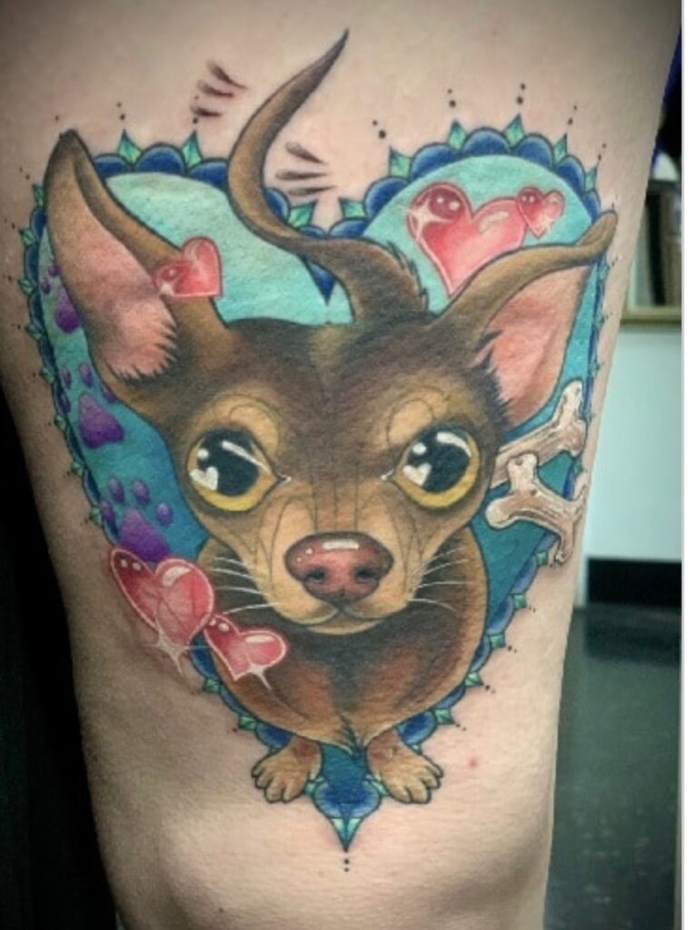 collor dog by shelly at art in motion in colorado springs