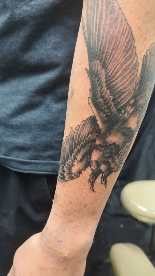 Fun little Raven for Daniel feat. my outstanding shaving job 😎👍🏻

Always a joy to do more brrrds. Please come on by and put a bird on it 🦉

#coloradotattooshop #coloradotattooartist  #tattoo #coloradotattooers #finelinetattooartist #finelinetattoo #raventattoo #crowtattoo
