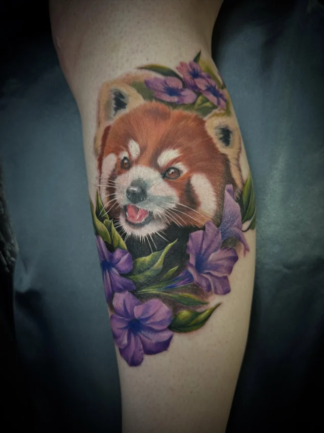 Adorable red panda I had the pleasure of doing recently 💕

 #tattoo #tattoos #tattooed #tattooart #customtattoo #colorado #inked #coloradosprings #coloradotattooartist #femaletattooartist #bodyart #artinmotiontattoosandpiercing #cotattooartist #inkjecta #eternalink #colortattoo #realismtattoo #animaltattoo #redpanda